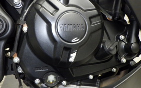YAMAHA YZF-R25 2019 RG43J