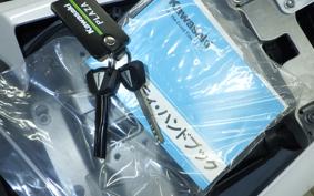 KAWASAKI NINJA1100SX 2025 ZXT10H