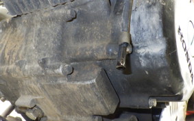 HONDA WAVE 125 NF125MD