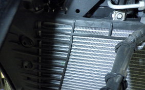 YAMAHA MT-25 A RG43J