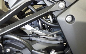 KAWASAKI NINJA1100SX 2025