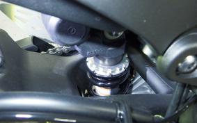 KAWASAKI NINJA ZX-6R A 2025 ZX636J