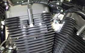 HARLEY XL1200NS 2019
