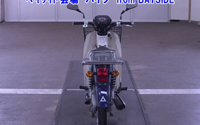 OTHER C110PU LOW 3