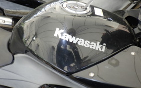 KAWASAKI NINJA 250R EX250K
