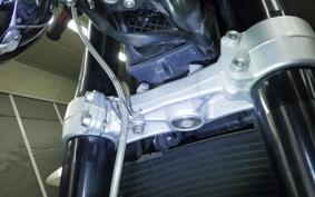 TRIUMPH STREET TRIPLE R 2009