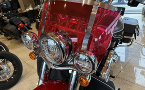 HARLEY FLI 2024 BCK