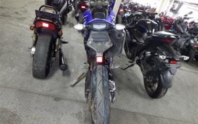 YAMAHA WR250X 2024 DG15J