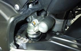 YAMAHA YZF-R1 2009 RN24J