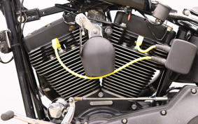 HARLEY FXSTB 2001 BTY
