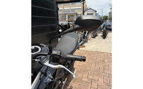 TRIUMPH TIGER SPORT 660 2025 L22U18
