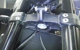 TRIUMPH TRIDENT 660 2026
