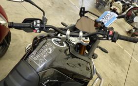 TRIUMPH TIGER 900 RALLY PRO 2025