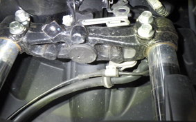 YAMAHA CYGNUSｸﾞﾘﾌｧｽ 2024 SEJ4J