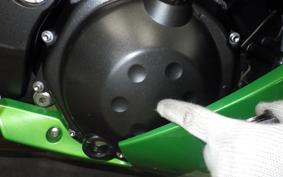 KAWASAKI ZX 1400 NINJA R A 2019