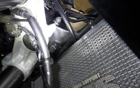 KAWASAKI NINJA 1000 SX 2024 ZXT02K