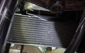 HONDA VFR800F 2019 RC79