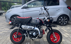 HONDA  MONKEY KUMAMONVER AB27