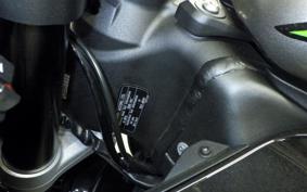 KAWASAKI NINJA ZX-6R A 2024 ZX636J