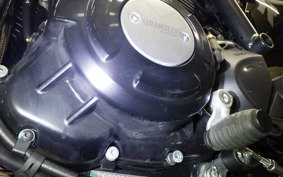 DUCATI SCRAMBLER ICON 2025