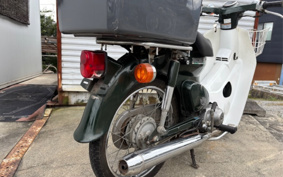 HONDA SUPER CUB50 C50