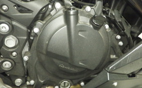 KAWASAKI NINJA 250 2 2018 EX250P