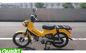 HONDA CROSS CUB 110 JA45