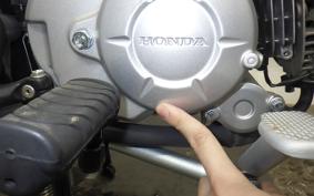 HONDA ｸﾛｽｶﾌﾞ50 AA06
