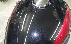 KAWASAKI W800 2024 EJ800E