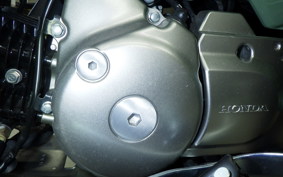 HONDA CT125 HUNTER CUB 2022 JA55