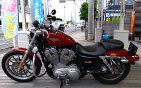 HARLEY XL883L 2009 CR2