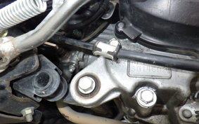HONDA GIORNO 3 AF77