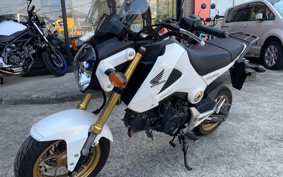 HONDA GROM JC61