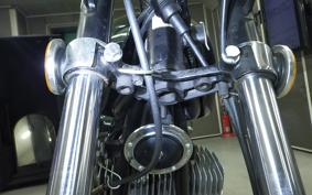 KAWASAKI 250SS 2010 S1F