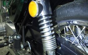 KAWASAKI 250SS 2010 S1F