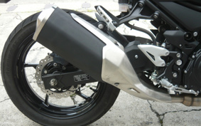 KAWASAKI Z250 EX250P