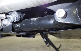 OTHER +BSA GOLDSTAR650 2025