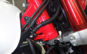 HONDA MONKEY 125 JB05