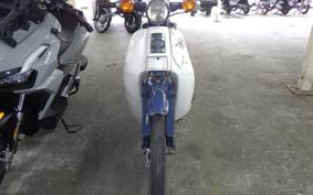 HONDA C50 SUPER CUB 2021 C50
