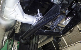 KAWASAKI W800 2022 EJ800E