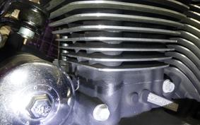 HARLEY L1200LI 2010