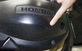 HONDA SILVER WING 600 A 2008 PF01