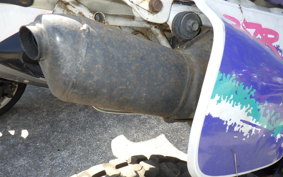 HONDA CRM250R GEN 2 MD24