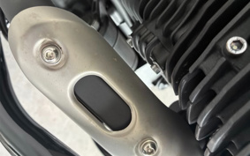 YAMAHA SCR950 2024 VN09J
