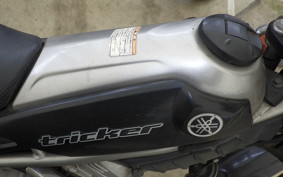 YAMAHA TRICKER DG10J