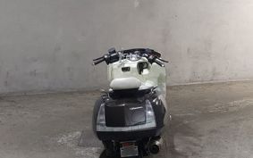 YAMAHA MAXAM 250 SG21J