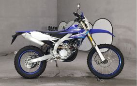 YAMAHA WR250F CG42