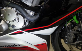 KAWASAKI NINJA ZX-6R A 2022 ZX636G