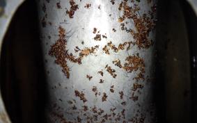 KAWASAKI W3 1976 W3F