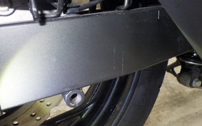 KAWASAKI Z250 A 2024 ER250C